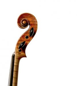Dettaglio